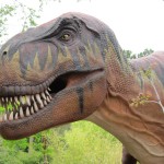 Tyrannosaurus Rex Tyrannosaurus Rex