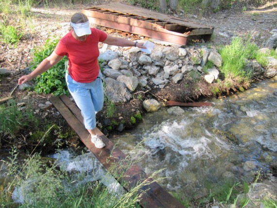 Ford Canyon Susan crossing Ricks creek