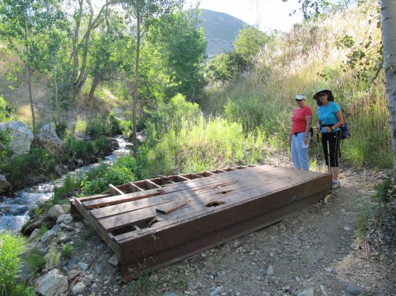 Ford Canyon bridge