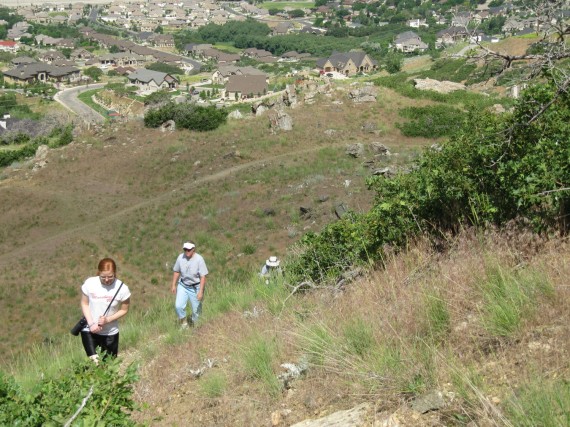 Shepard Creek Trail steep in places