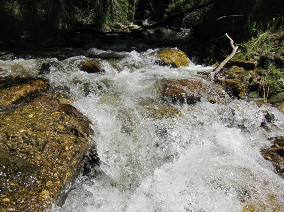 Shepard Creek Trail stream