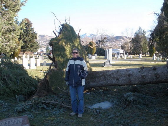 Davis County windstorm cleanup