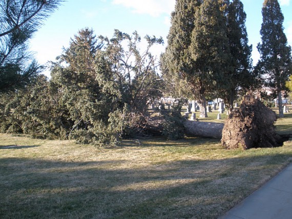 Davis County windstorm cleanup