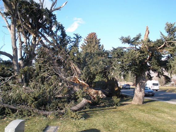 Davis County windstorm cleanup