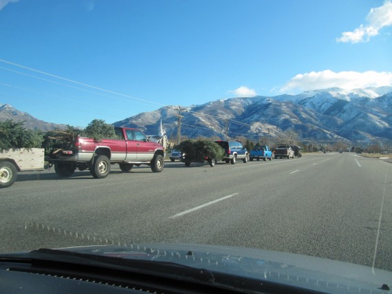 Davis County windstorm cleanup