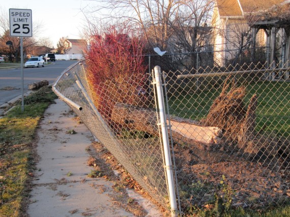 Kaysville windstorm downed fence by tree cleanup