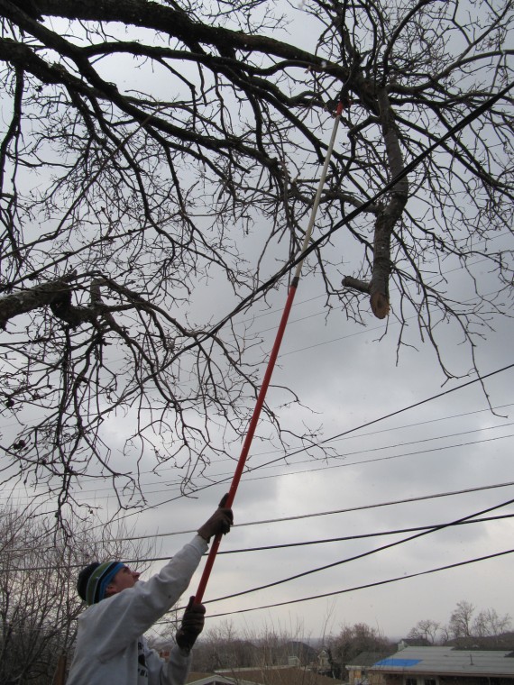 Kaysville windstorm preparations