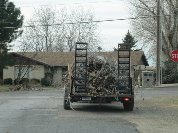 Windstorm preparations