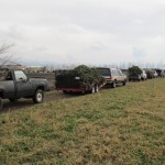 Windstorm preparations