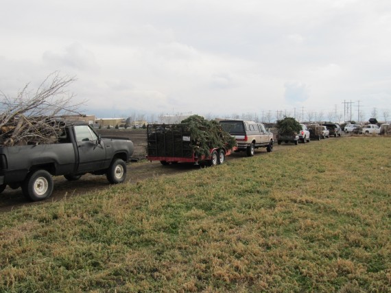 Windstorm preparations