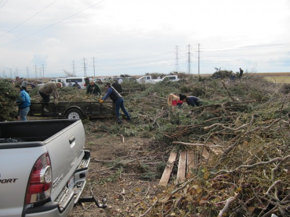 Windstorm preparations