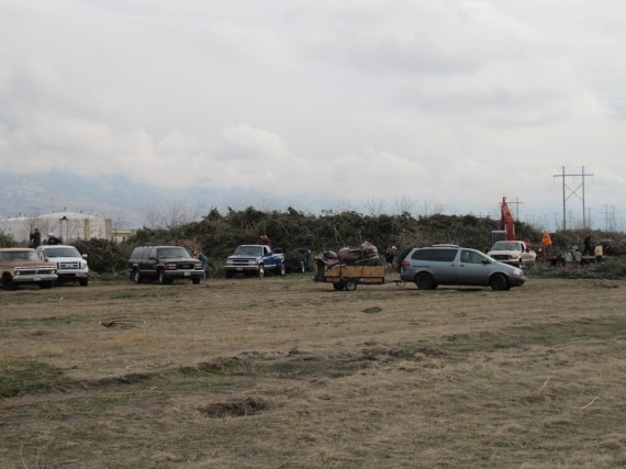 Windstorm preparations