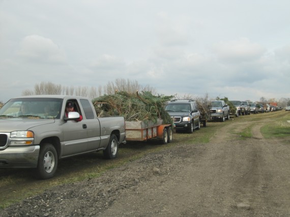 Windstorm preparations